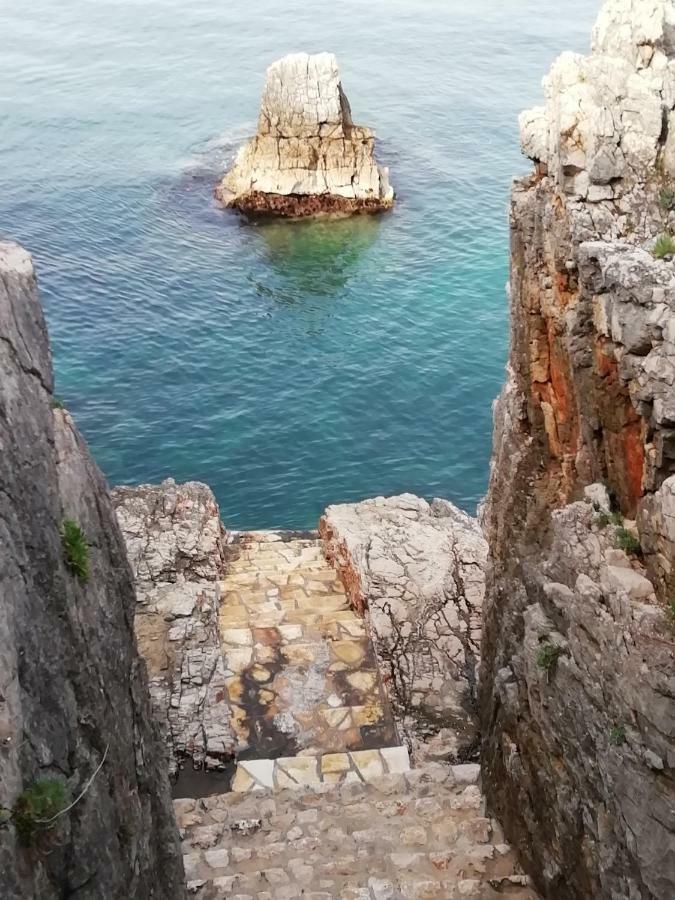 Apartman Marinkovic Dobra Voda Exterior photo